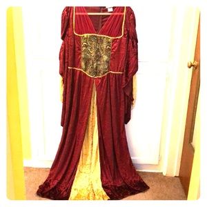 Renaissance Maiden Costume